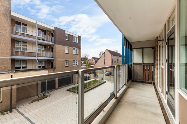 Zadkinerade 17_09.jpg